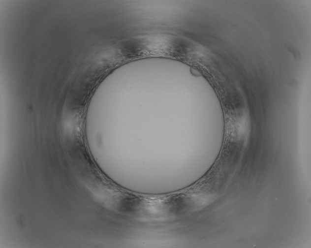 X0000112490701200908171247
