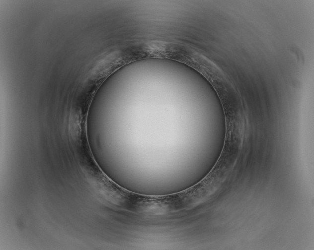 X0000112490702200908171247