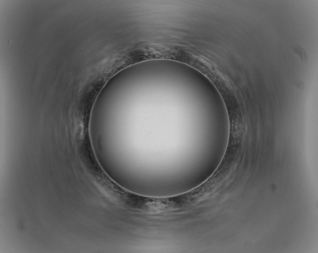 X0000112490703200908171247