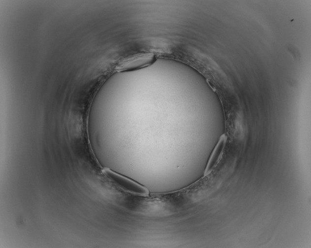 X0000112490704200908171247