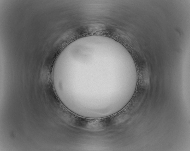 X0000112490705200908171247