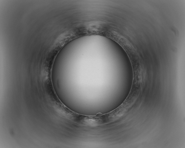 X0000112490706200908171247