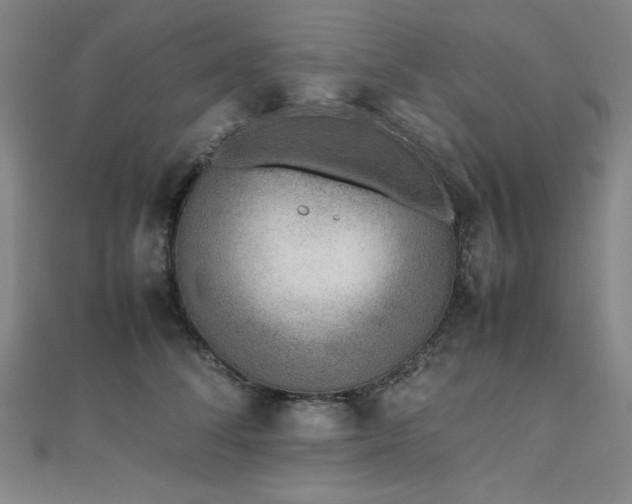 X0000112490708200908171247
