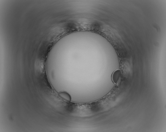 X0000112490709200908171247