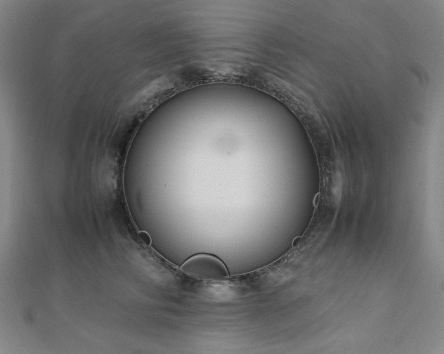 X0000112490710200908171247