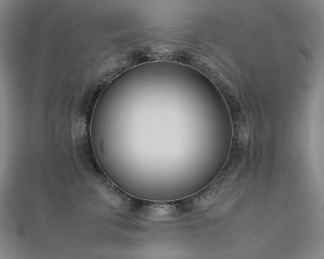 X0000112490711200908171247