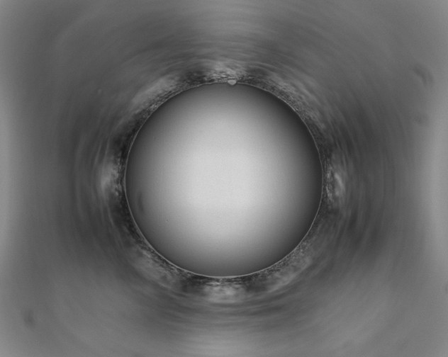 X0000112490714200908171247