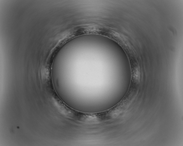 X0000112490715200908171247