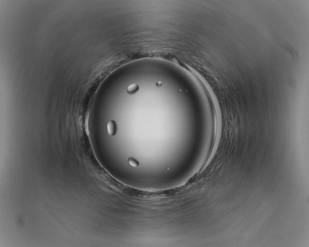 X0000112490716200908171247