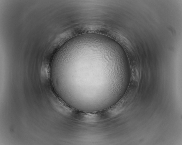 X0000112490718200908171247