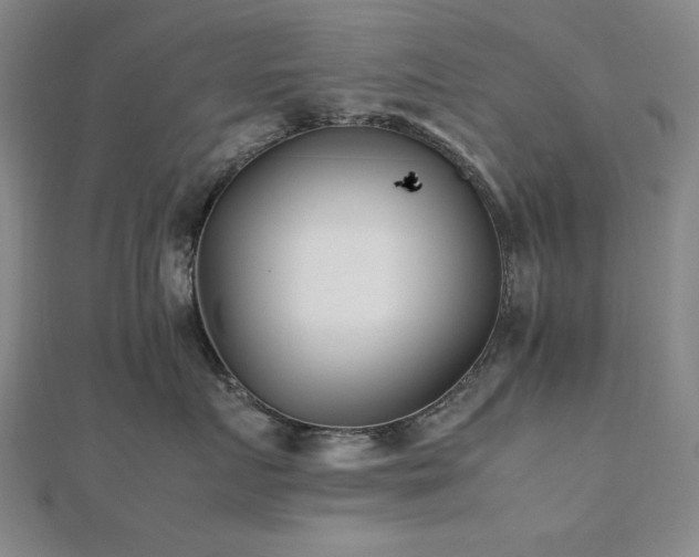 X0000112490719200908171247
