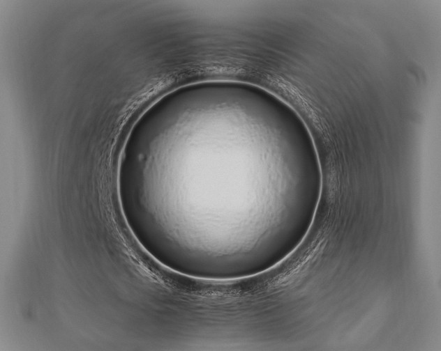 X0000112490721200908171246