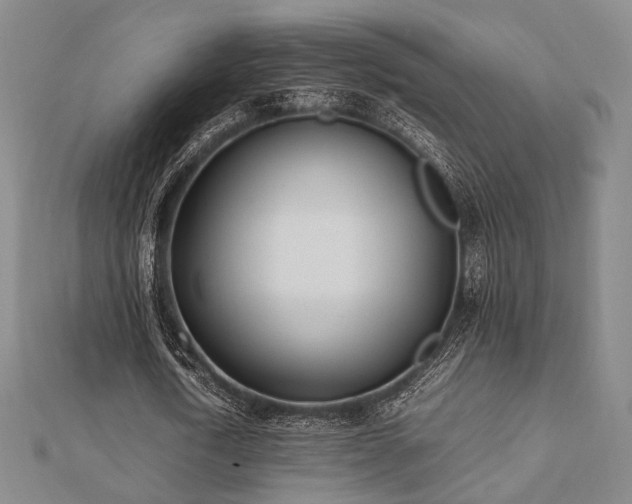 X0000112490722200908171246