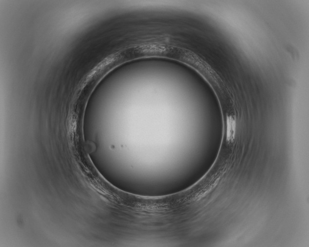 X0000112490723200908171247