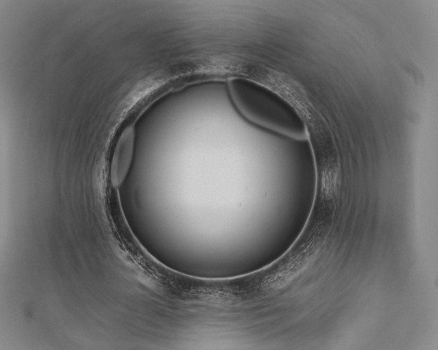 X0000112490724200908171247