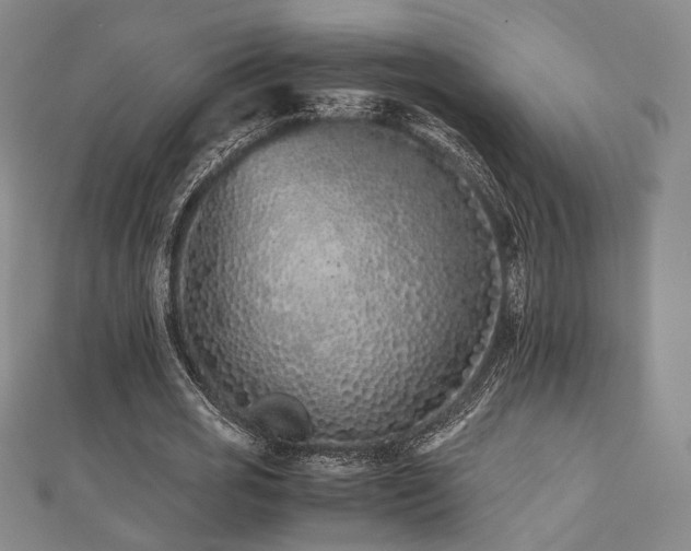 X0000112490725200908171247