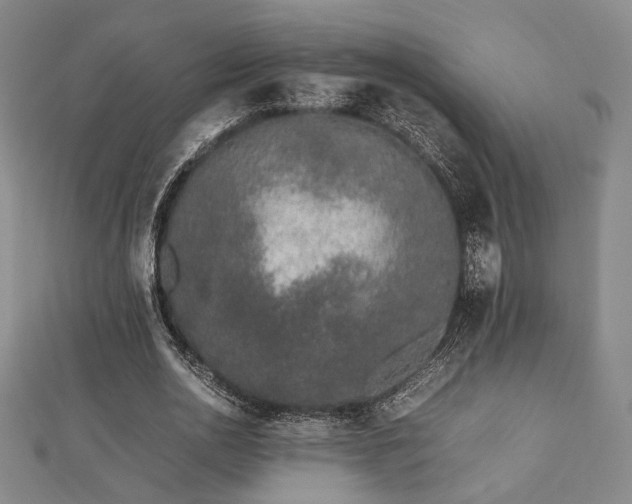 X0000112490726200908171247