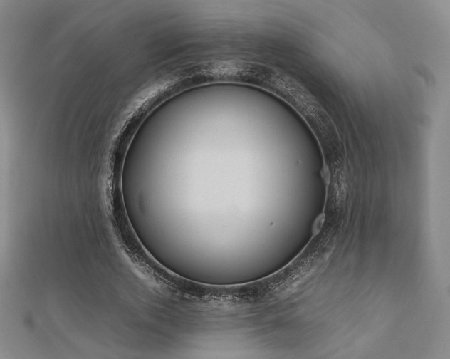 X0000112490728200908171247