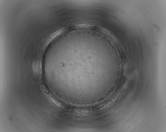 X0000112490729200908171247