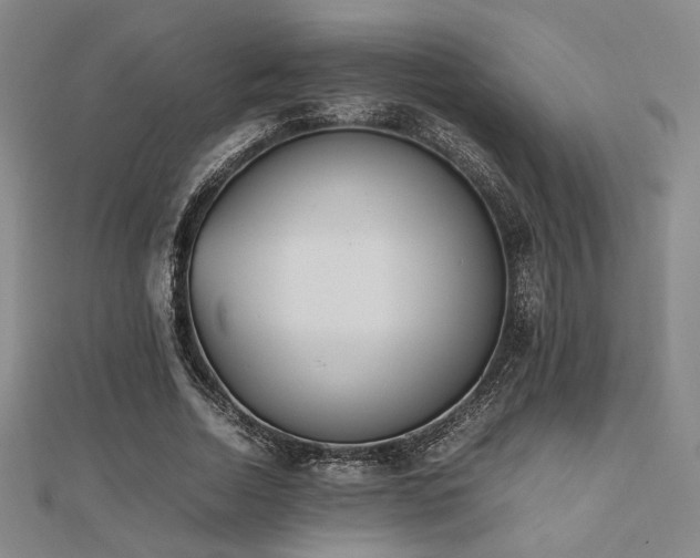 X0000112490730200908171247