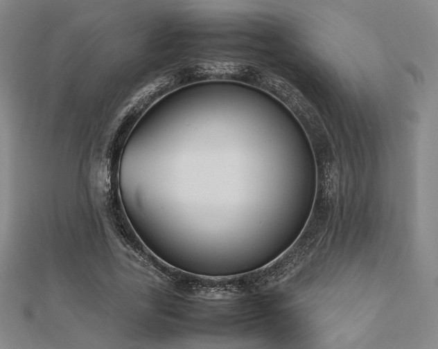 X0000112490731200908171247