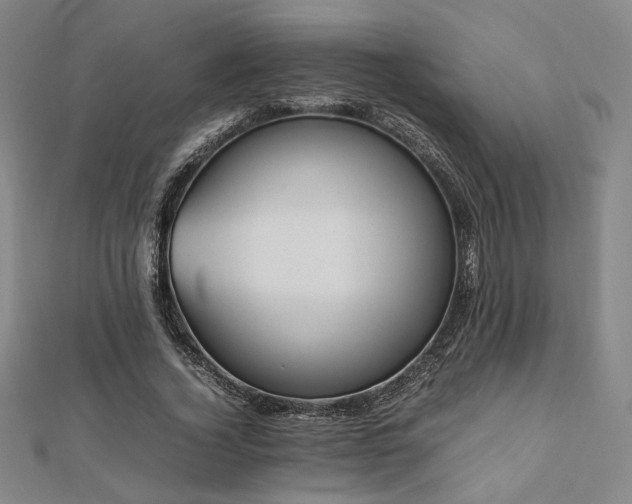 X0000112490732200908171247
