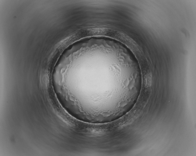 X0000112490733200908171247