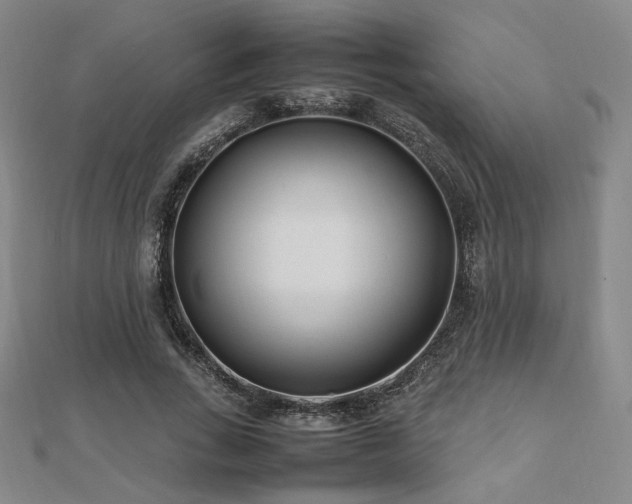 X0000112490735200908171247