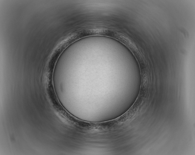 X0000112490736200908171247