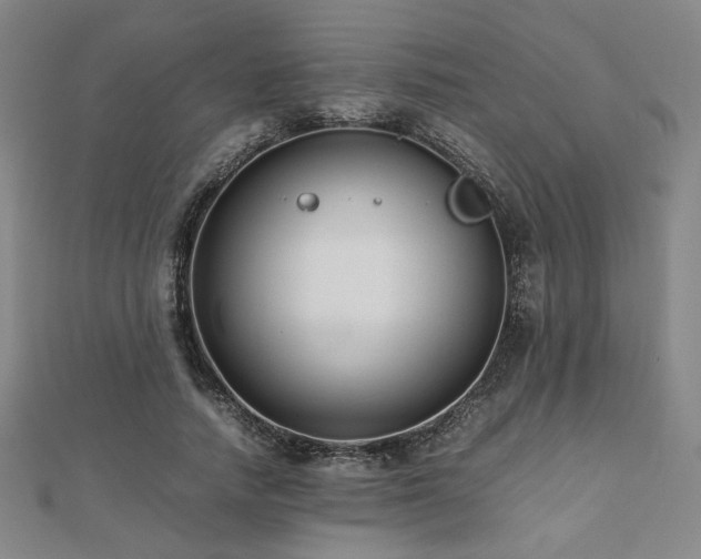 X0000112490738200908171247