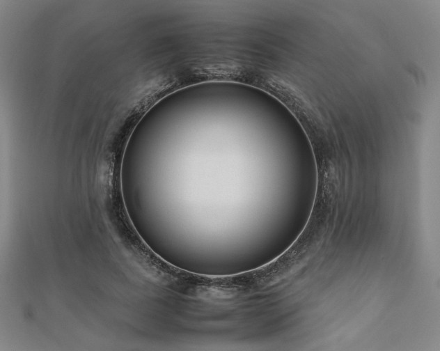 X0000112490739200908171247