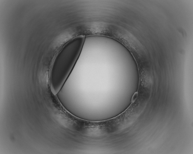 X0000112490740200908171247