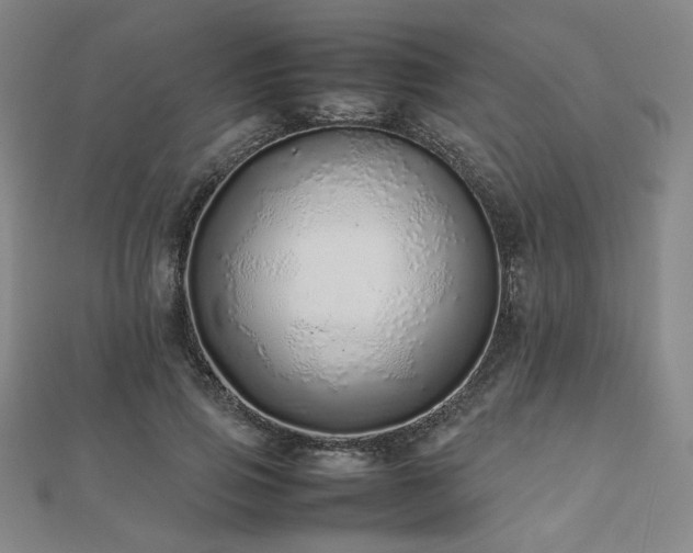 X0000112490741200908171247