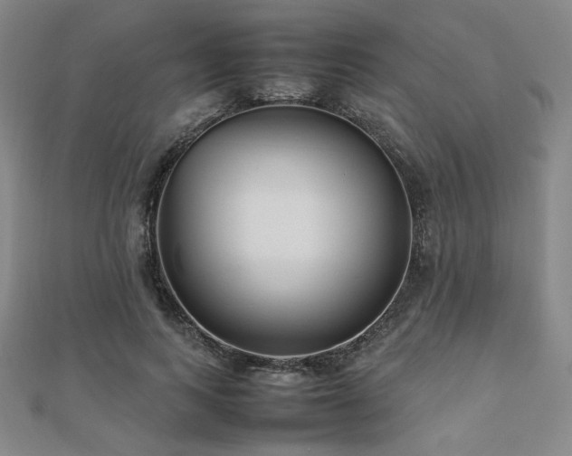 X0000112490743200908171247