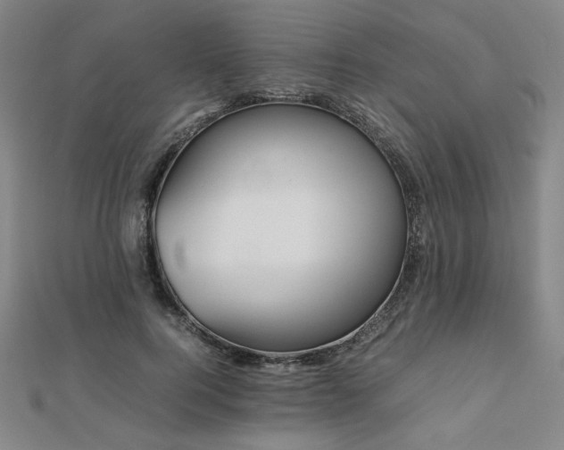 X0000112490744200908171247