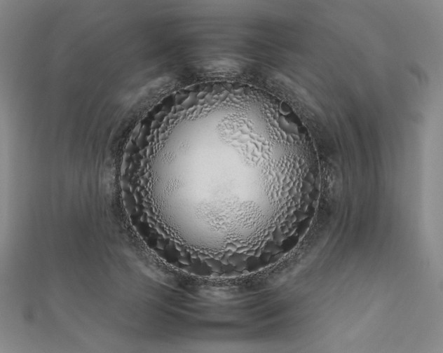 X0000112490745200908171247