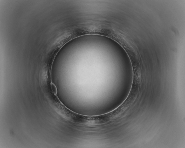 X0000112490746200908171247