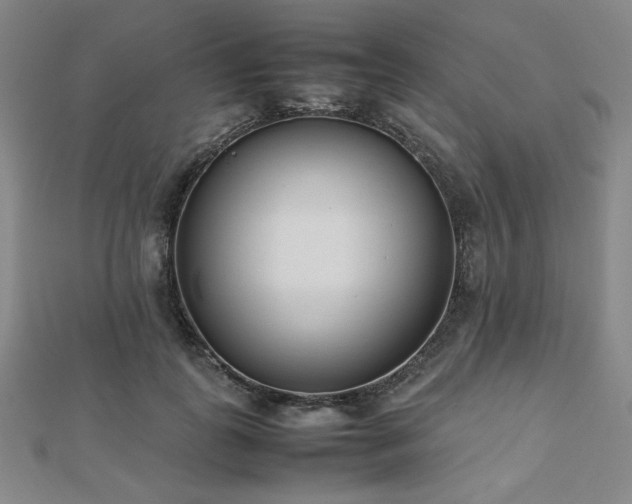 X0000112490747200908171247