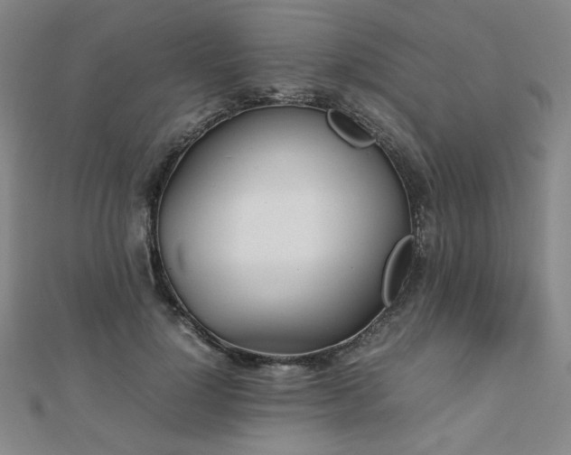X0000112490748200908171247