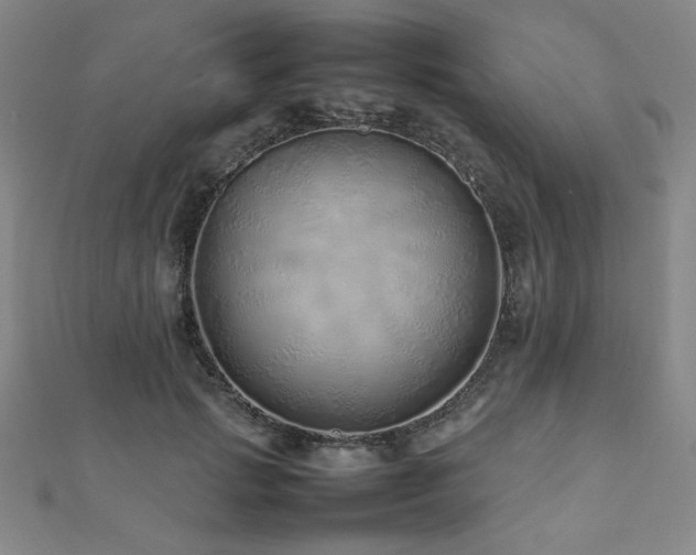X0000112490749200908171247