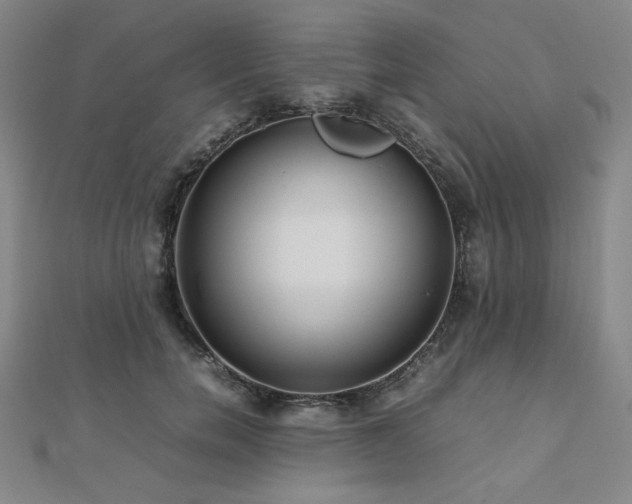 X0000112490750200908171247