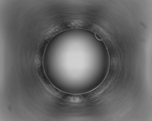 X0000112490751200908171247
