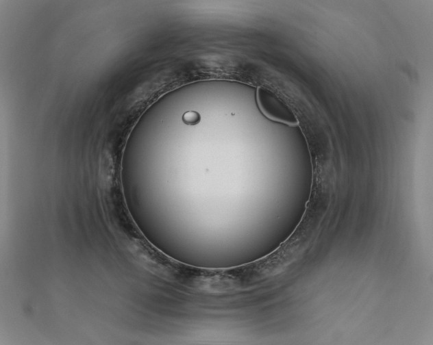 X0000112490752200908171247