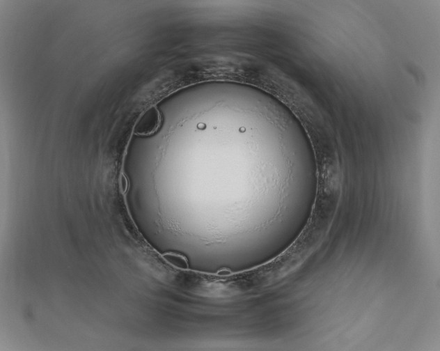 X0000112490753200908171247