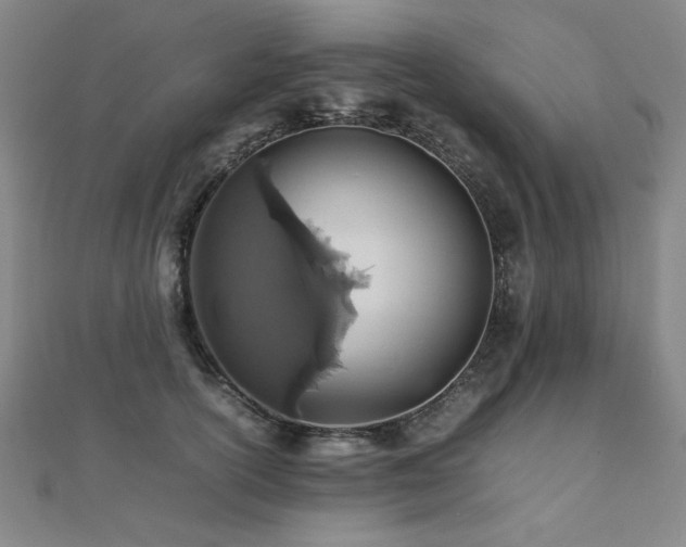 X0000112490754200908171247