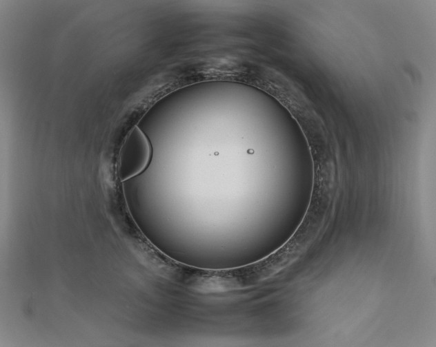 X0000112490755200908171247