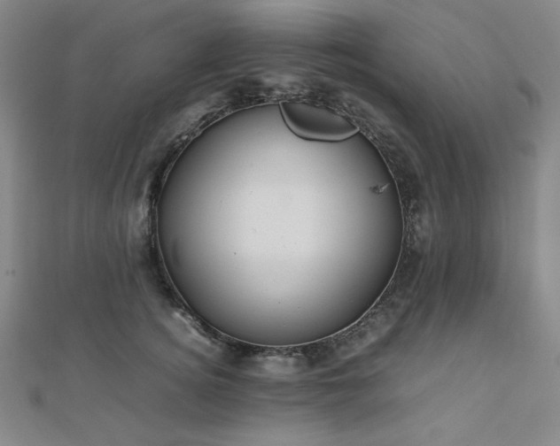 X0000112490756200908171247