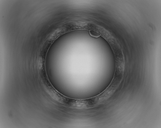 X0000112490758200908171247