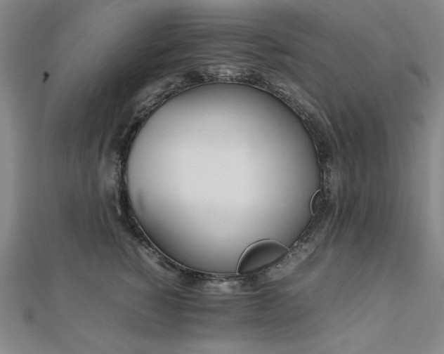 X0000112490760200908171247