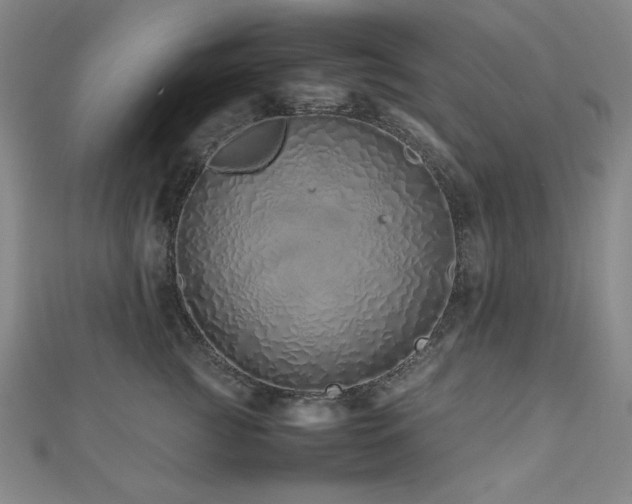 X0000112490761200908171247